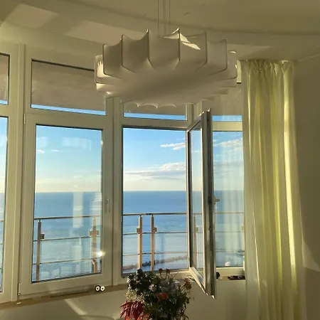 Seagull *